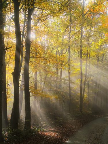 IMG 20251025 110535-2-2